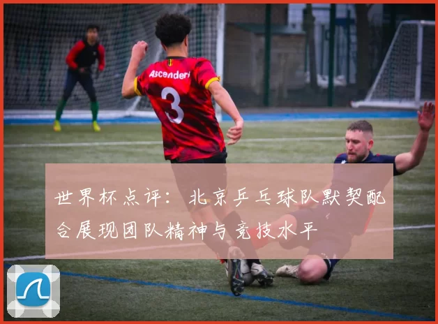 世界杯点评：北京乒乓球队默契配合展现团队精神与竞技水平