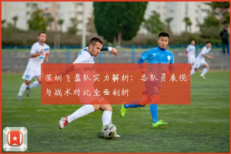 深圳飞盘队实力解析：各队员表现与战术对比全面剖析