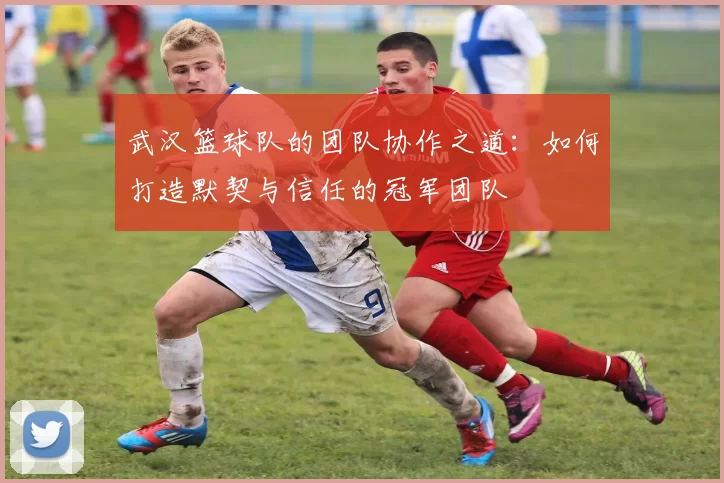 武汉篮球队的团队协作之道：如何打造默契与信任的冠军团队