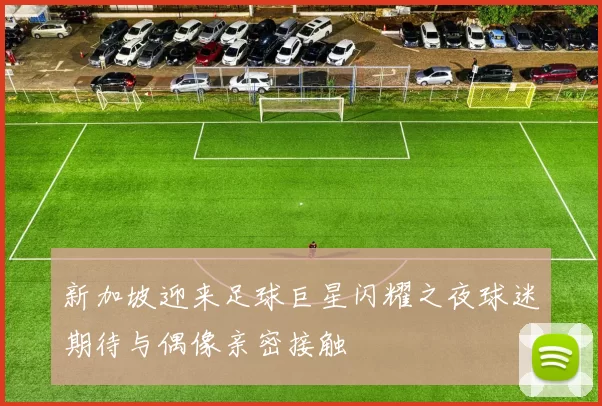 新加坡迎来足球巨星闪耀之夜球迷期待与偶像亲密接触