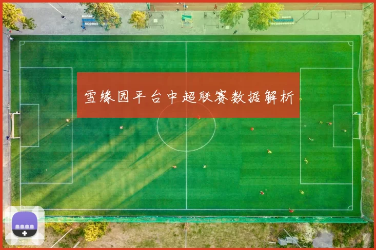 雪缘园平台中超联赛数据解析