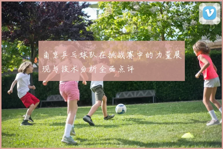 南京乒乓球队在挑战赛中的力量展现与技术分析全面点评