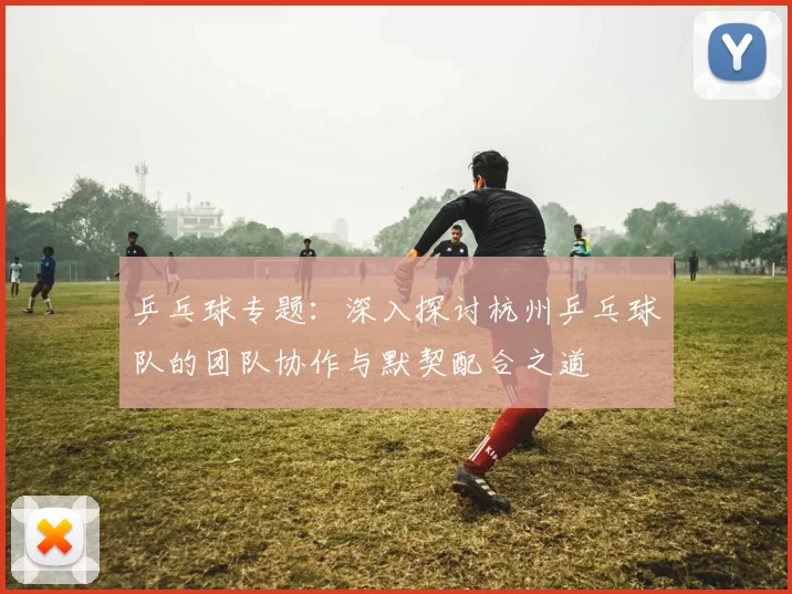 乒乓球专题：深入探讨杭州乒乓球队的团队协作与默契配合之道