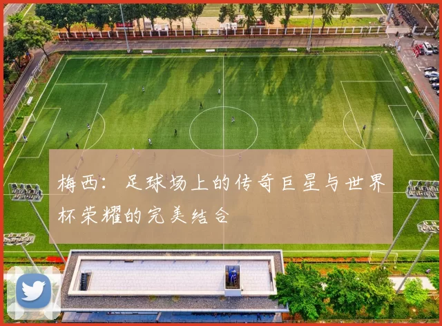 梅西：足球场上的传奇巨星与世界杯荣耀的完美结合