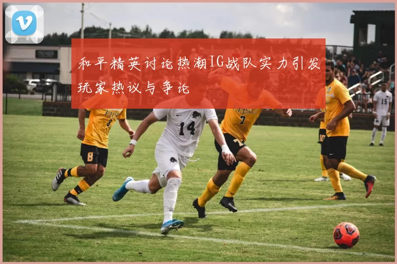 和平精英讨论热潮IG战队实力引发玩家热议与争论
