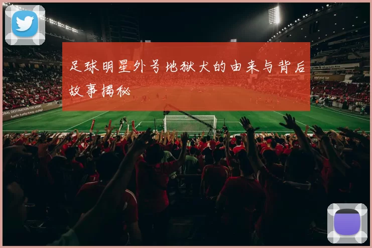 足球明星外号地狱犬的由来与背后故事揭秘