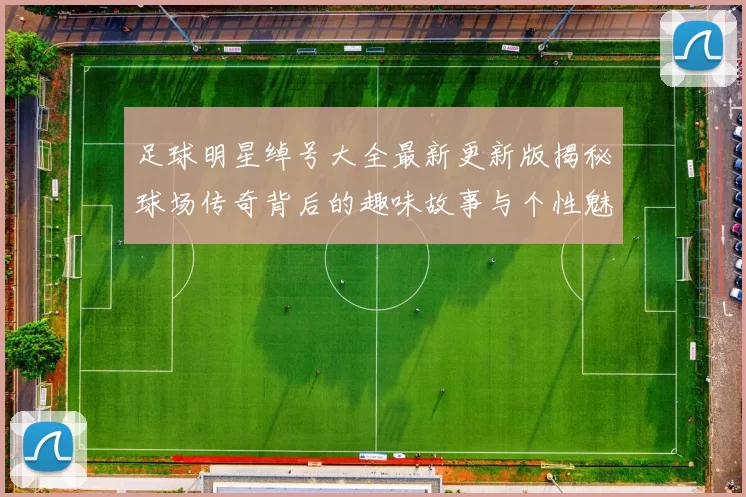 足球明星绰号大全最新更新版揭秘球场传奇背后的趣味故事与个性魅力