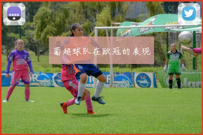 葡超球队在欧冠的表现