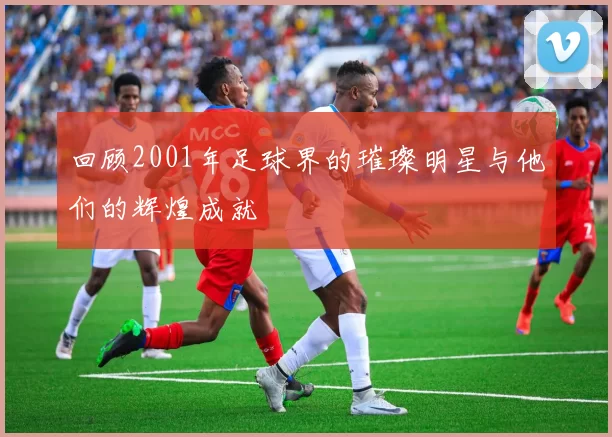 回顾2001年足球界的璀璨明星与他们的辉煌成就