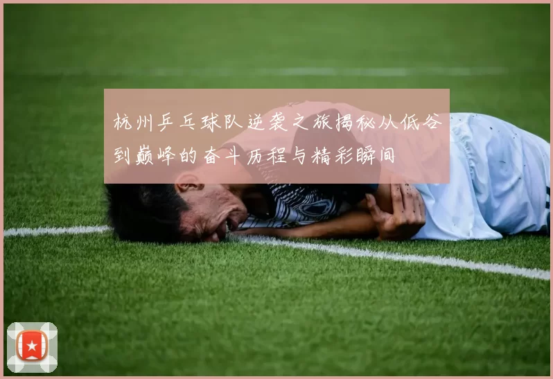 杭州乒乓球队逆袭之旅揭秘从低谷到巅峰的奋斗历程与精彩瞬间