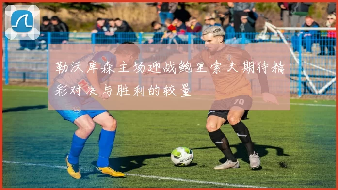 勒沃库森主场迎战鲍里索夫期待精彩对决与胜利的较量
