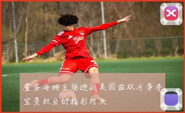 霍芬海姆主场迎战美因兹双方争夺宝贵积分的精彩对决