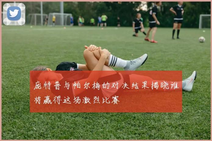 庞特普与帕尔梅的对决结果揭晓谁将赢得这场激烈比赛