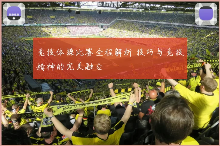 竞技体操比赛全程解析 技巧与竞技精神的完美融合