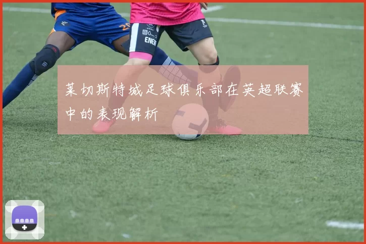 莱切斯特城足球俱乐部在英超联赛中的表现解析