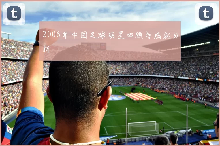 2006年中国足球明星回顾与成就分析